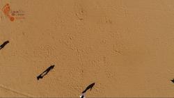 公司团建的正确打开方式,怎么做让企业和员工都满意的团建