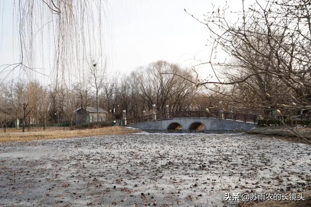 京城闹市寻幽（89）：春节假期中萧瑟的古塔公园