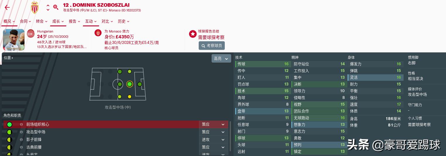 fm2019足球经理苹果手机版,fm足球经理球员数据解读