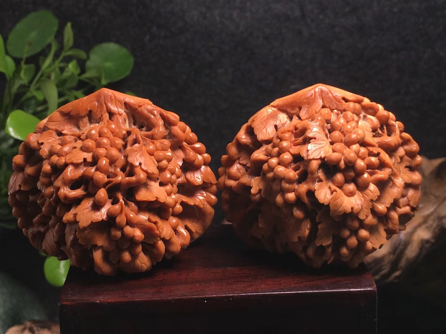 落地桃核发黑如何清洗,山桃核的正确清洗方法