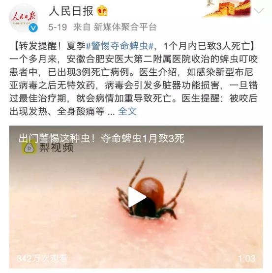虫子叮咬引发疾病,虫子叮咬会得什么病