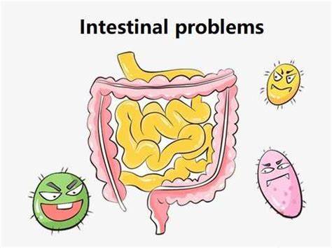 泻药酚酞,酚酞便秘药