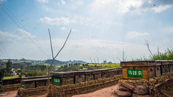 春夏还能这么吃健康养生吃不腻,春夏秋冬适合喝什么滋补