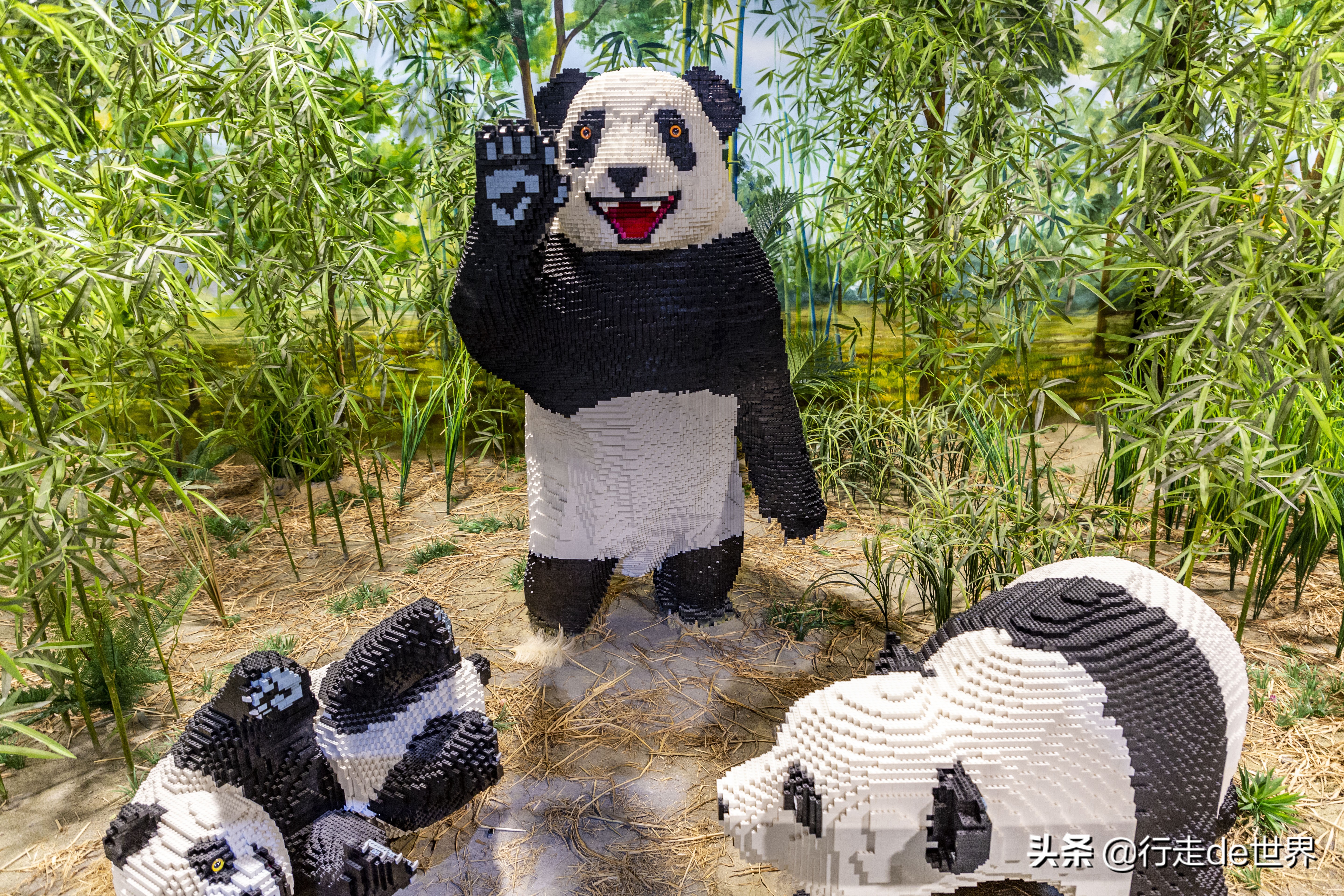 亲子乐园深圳户外,深圳最火爆的亲子乐园