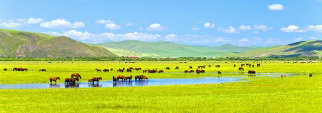 若木诗句七律,含有若木的诗句