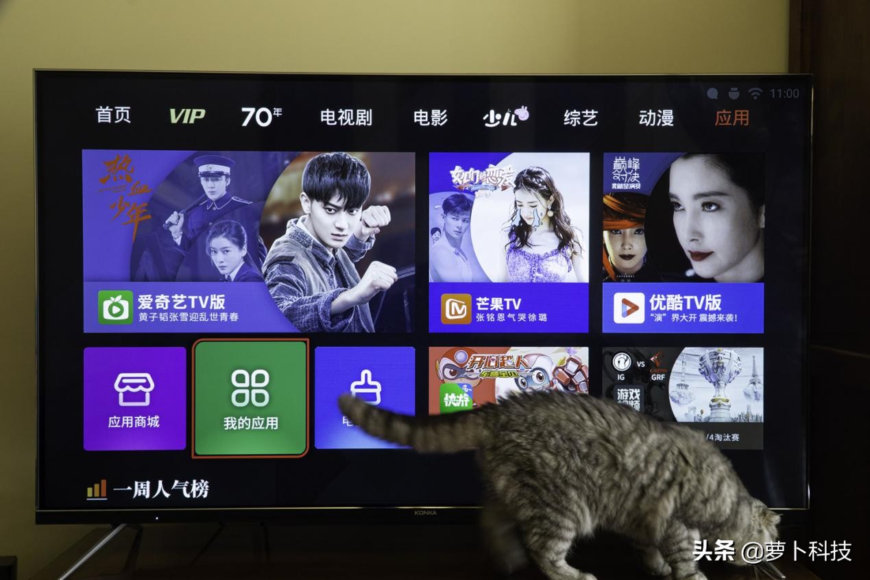 2000多块钱买了创维85寸的电视,康佳55寸4k智能超薄液晶电视价格