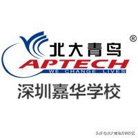 深圳北大青鸟是什么学校,深圳市北大青鸟培训学校在哪里