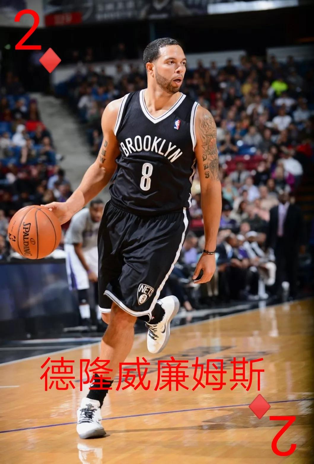 篮网队史十大球星,nba篮网队员