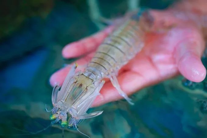 最美三亚自由行攻略,最美海岛三亚旅行