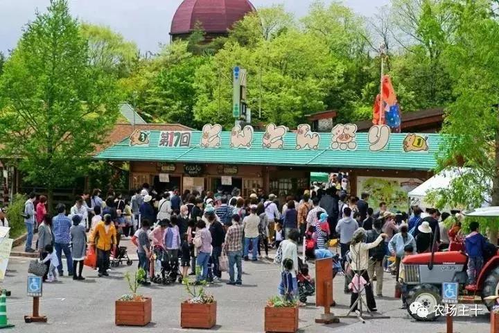 从零开始打造一个优质亲子农庄,从亏损近2亿到盈利35亿的逆袭