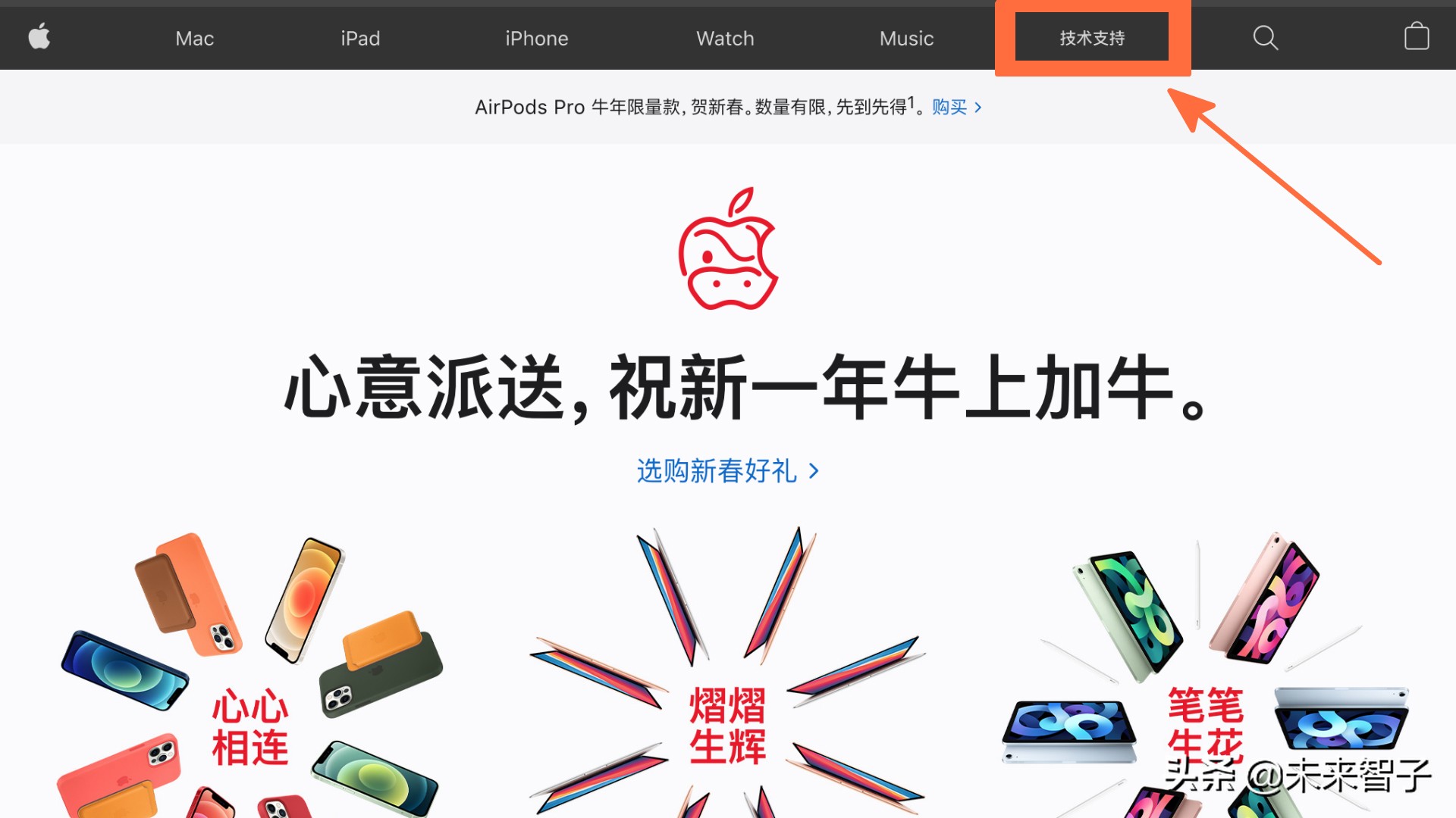 忘记ipadappleid密码怎么办,ipadappleid密码忘了怎么办