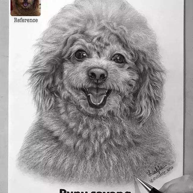 她画的素描比本人还美！比照片还真实，24万网友已被她征服