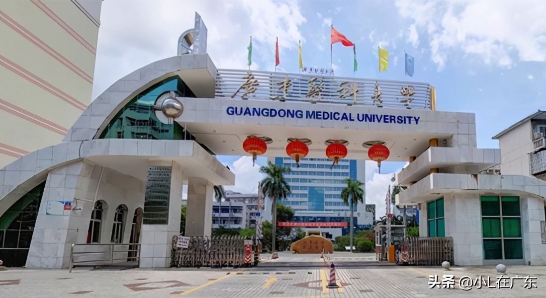 湛江有四所本科大学可以报？你会报考吗？