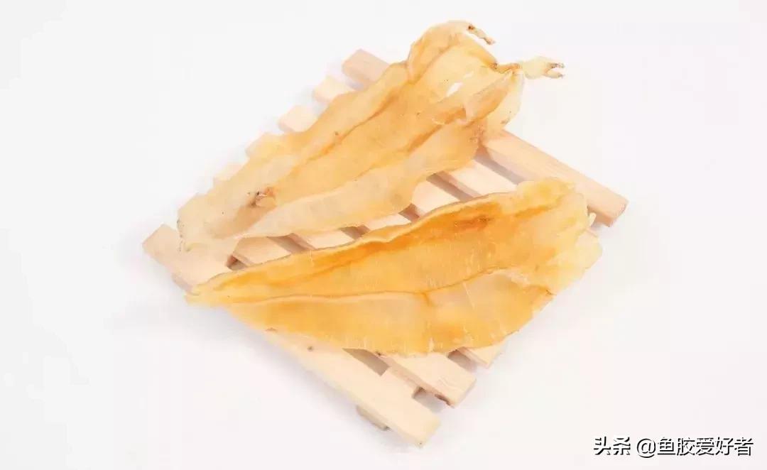 花胶怎么挑选公母,公花胶和母花胶怎样分别