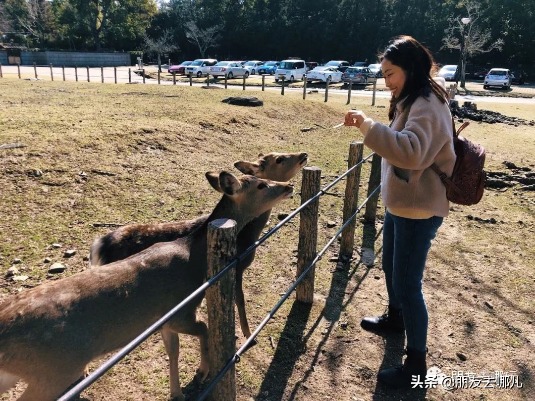 日本大阪京都自由行攻略大全,大阪京都奈良旅游攻略自由行