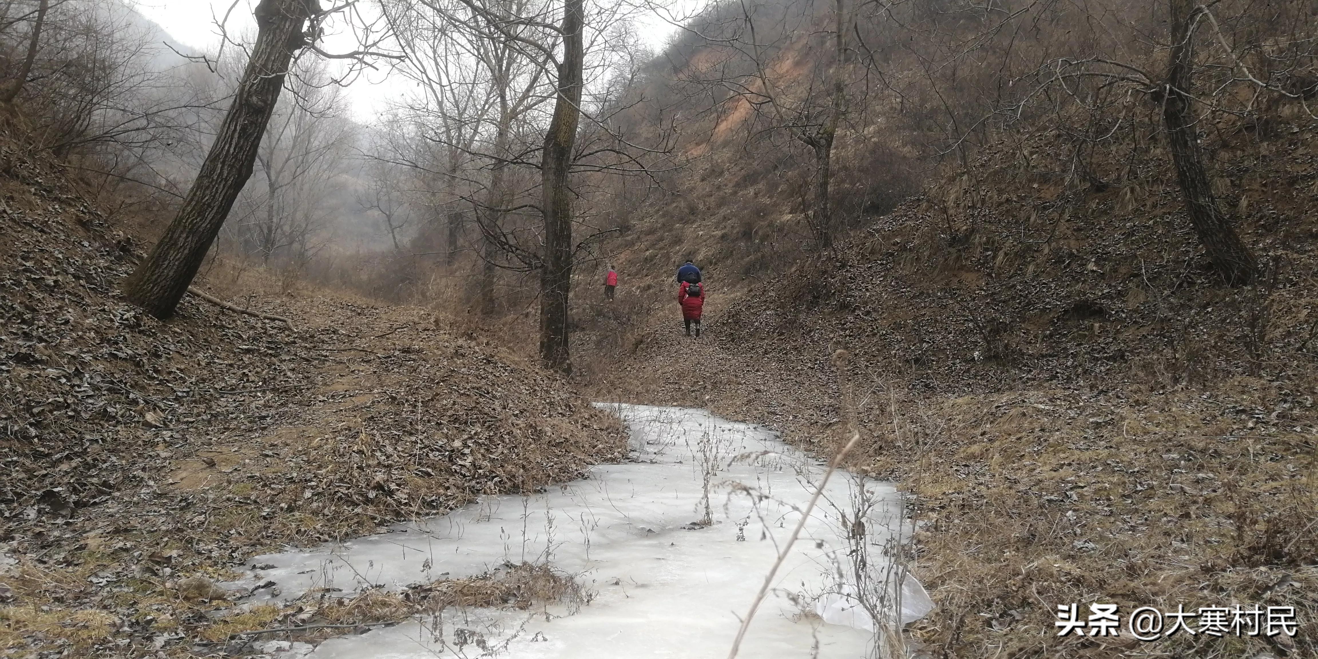 想象春天,想象中的春天