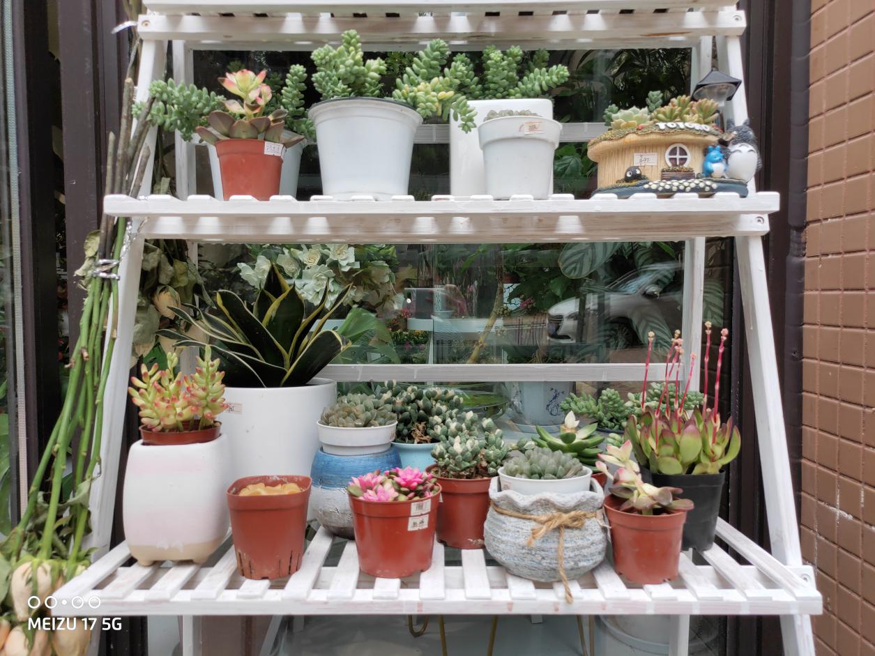 魅族17支持5g吗,魅族17会不会是5g