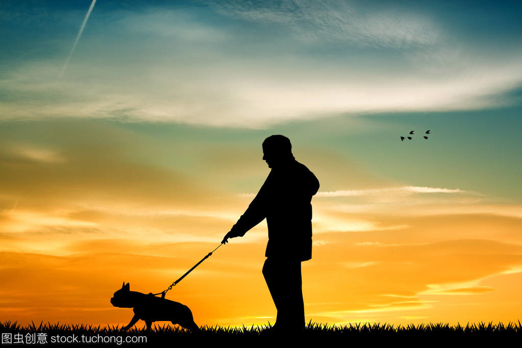 一只被遗弃的狗狗的自白—主人，我还在这个路口等你。1