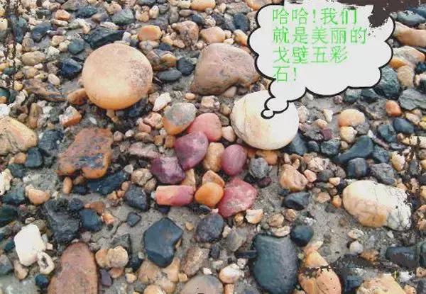 初级藏宝图挖后有什么东西,疆内捡石头攻略