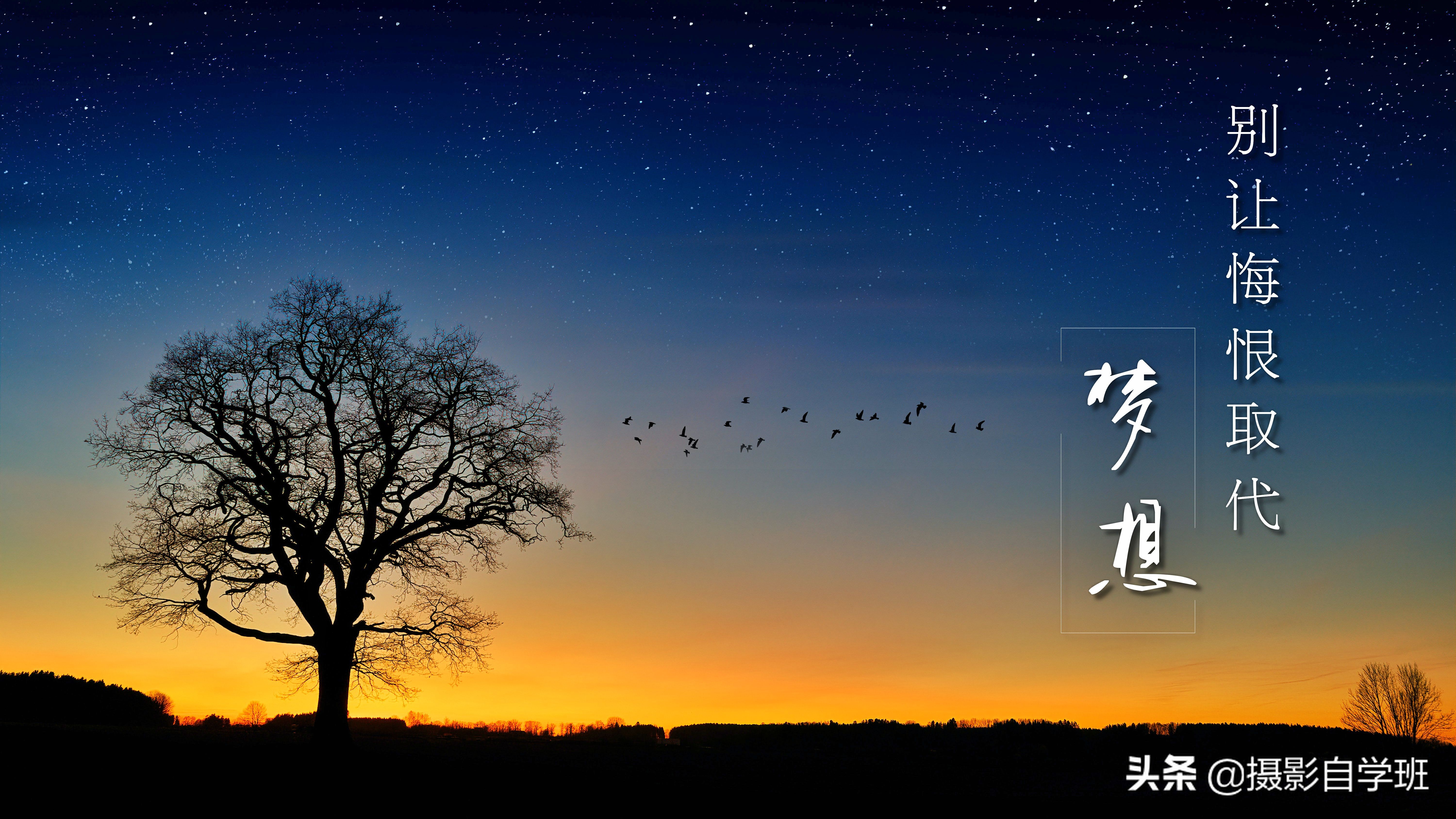 华为mate40pro照相水印和日期,华为手机照相和苹果手机照相