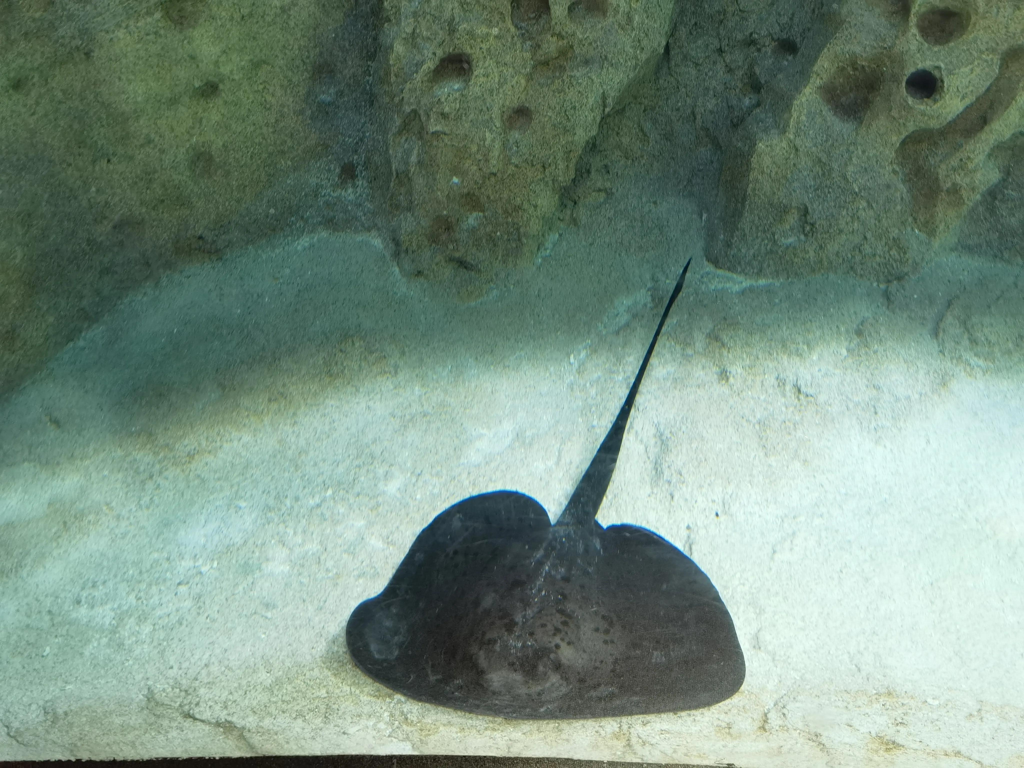 珠海长隆海洋王国之旅,长隆海洋王国游玩攻略