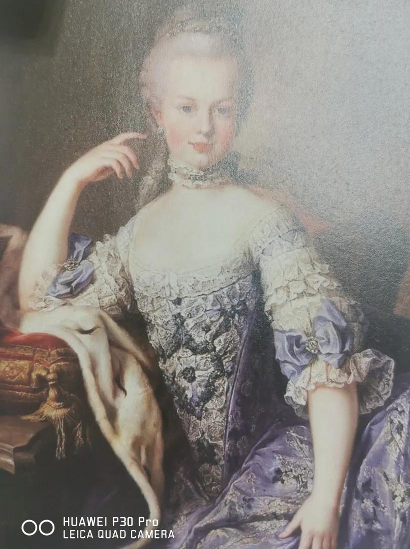 欧洲被处死的洛可可王后—法国玛丽.安托瓦内特王后