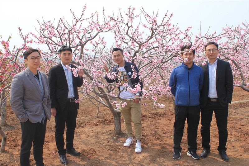 2024年峄城仙人洞桃花节时间,峄城仙人洞桃花节