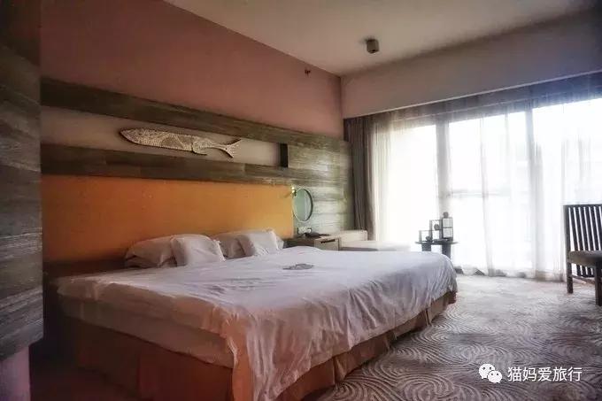 广州长隆野生动物园全程步行攻略,2天游玩广州长隆野生动物园攻略