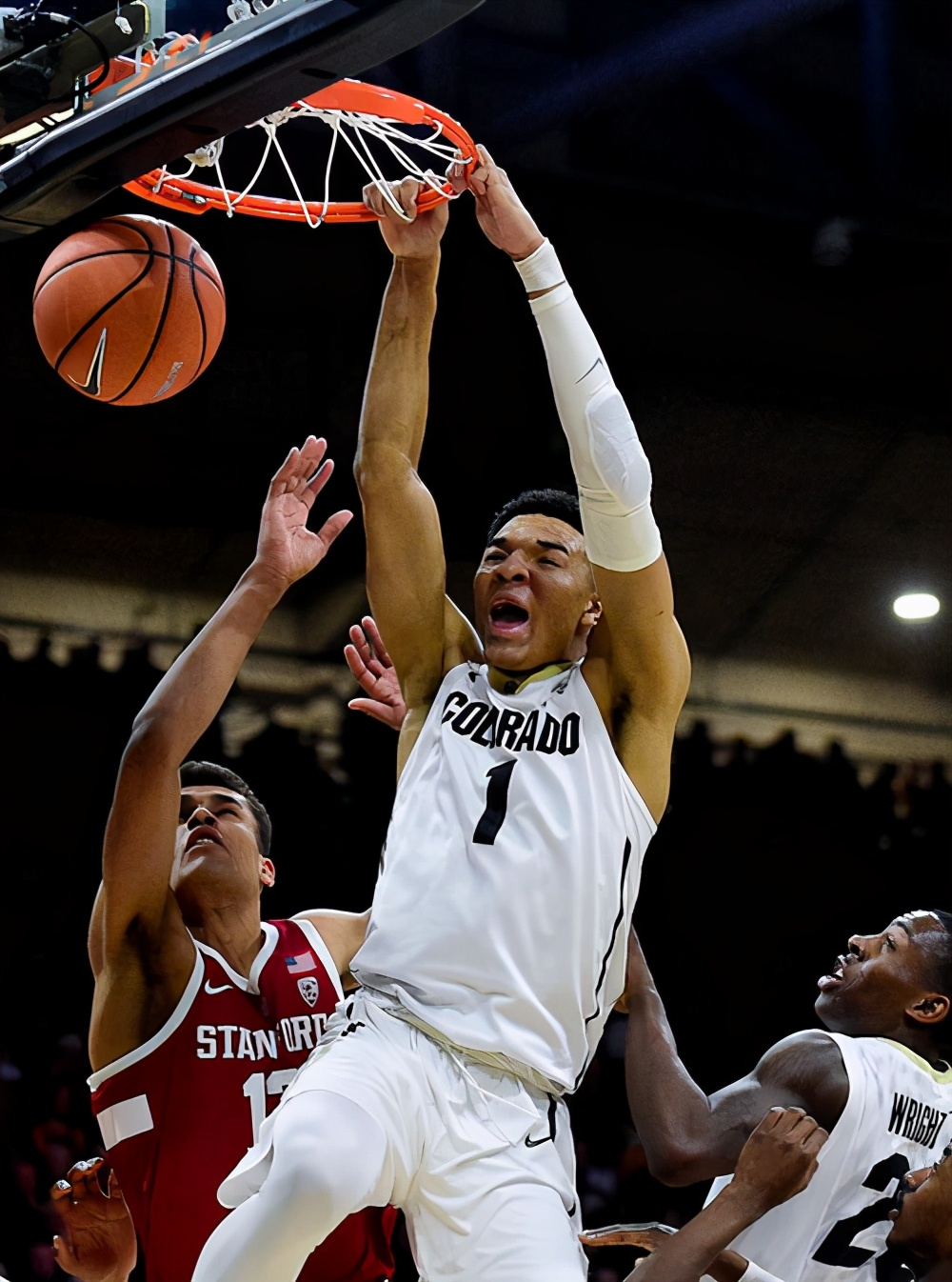 历史第一臂展波尔,泰勒贝臂展