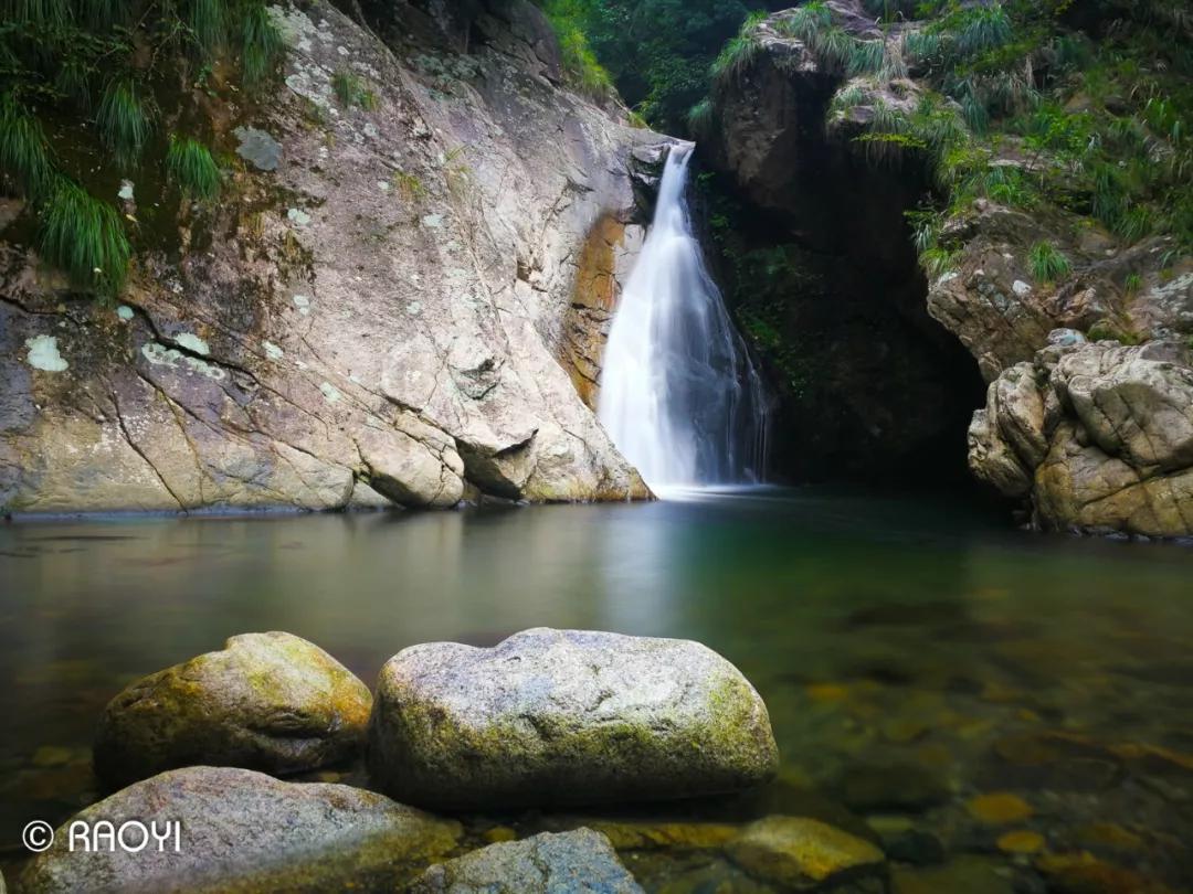 一杯清冽的酒,一杯清茗静心