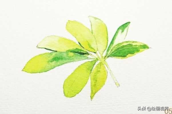 怎么才能画好水彩画,如何画好水彩只需掌握这5点