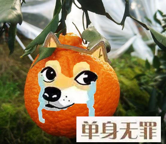 我妈老逼我结婚怎么办,我妈催婚怎么办