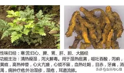 史上最全中草药图谱（附主治功效）（一）