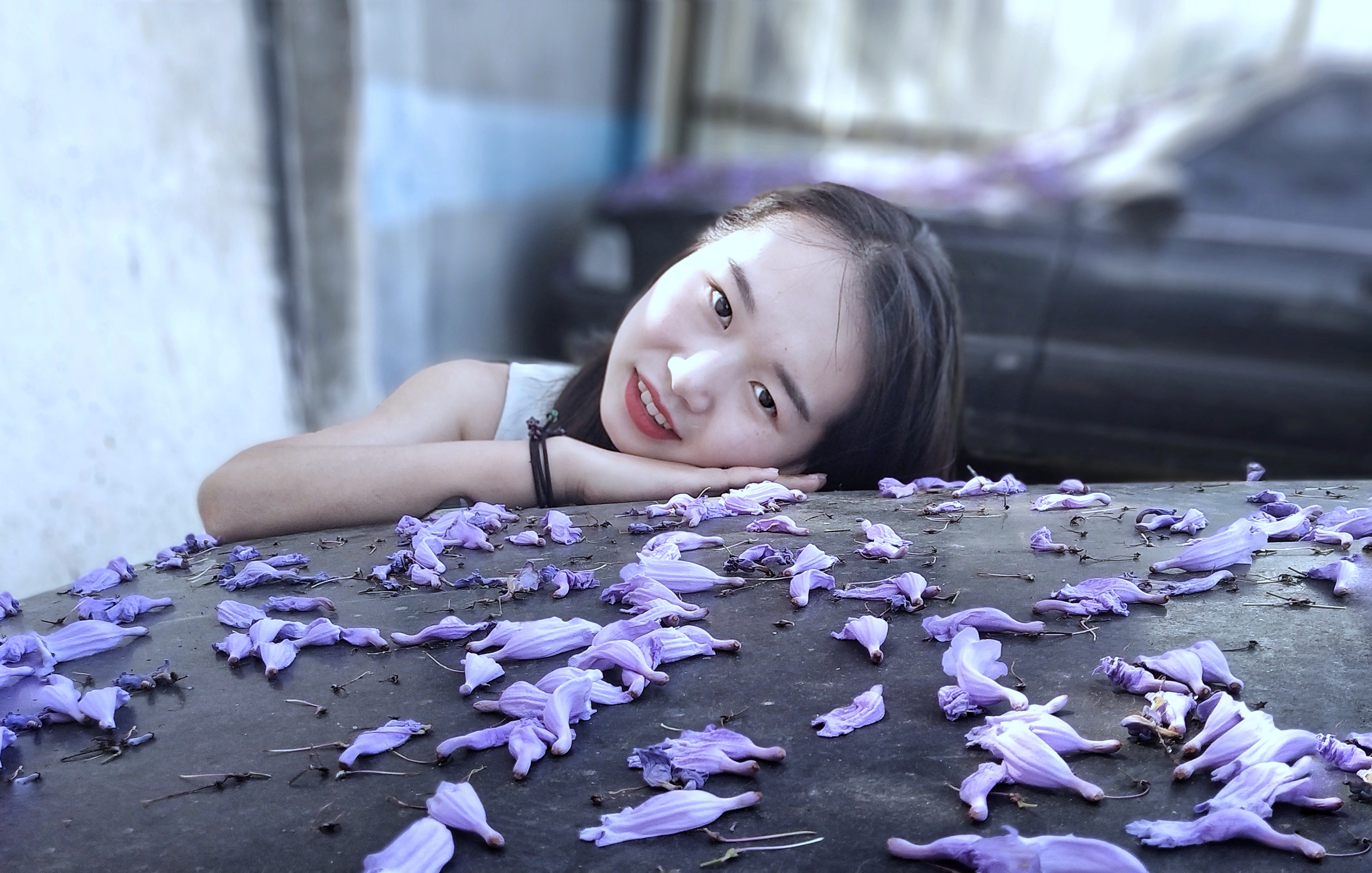 日慕蓝花楹，夜宿花香里