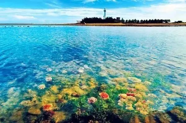 距海南仅20km，这个处女地比台湾风情、比三亚便宜，你错过了吗？