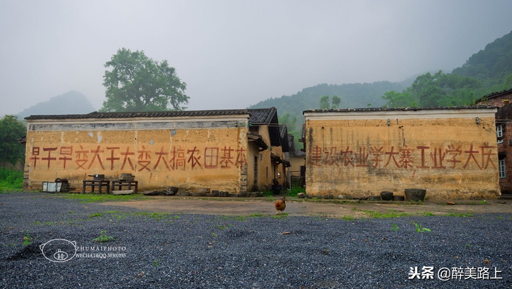 广清惠民旅游卡怎么样,广清旅游年卡