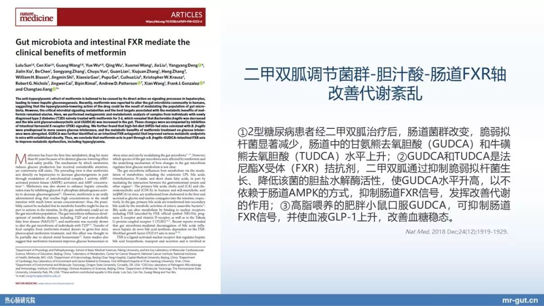 热心肠先生益生菌视频大全,热心肠先生全集