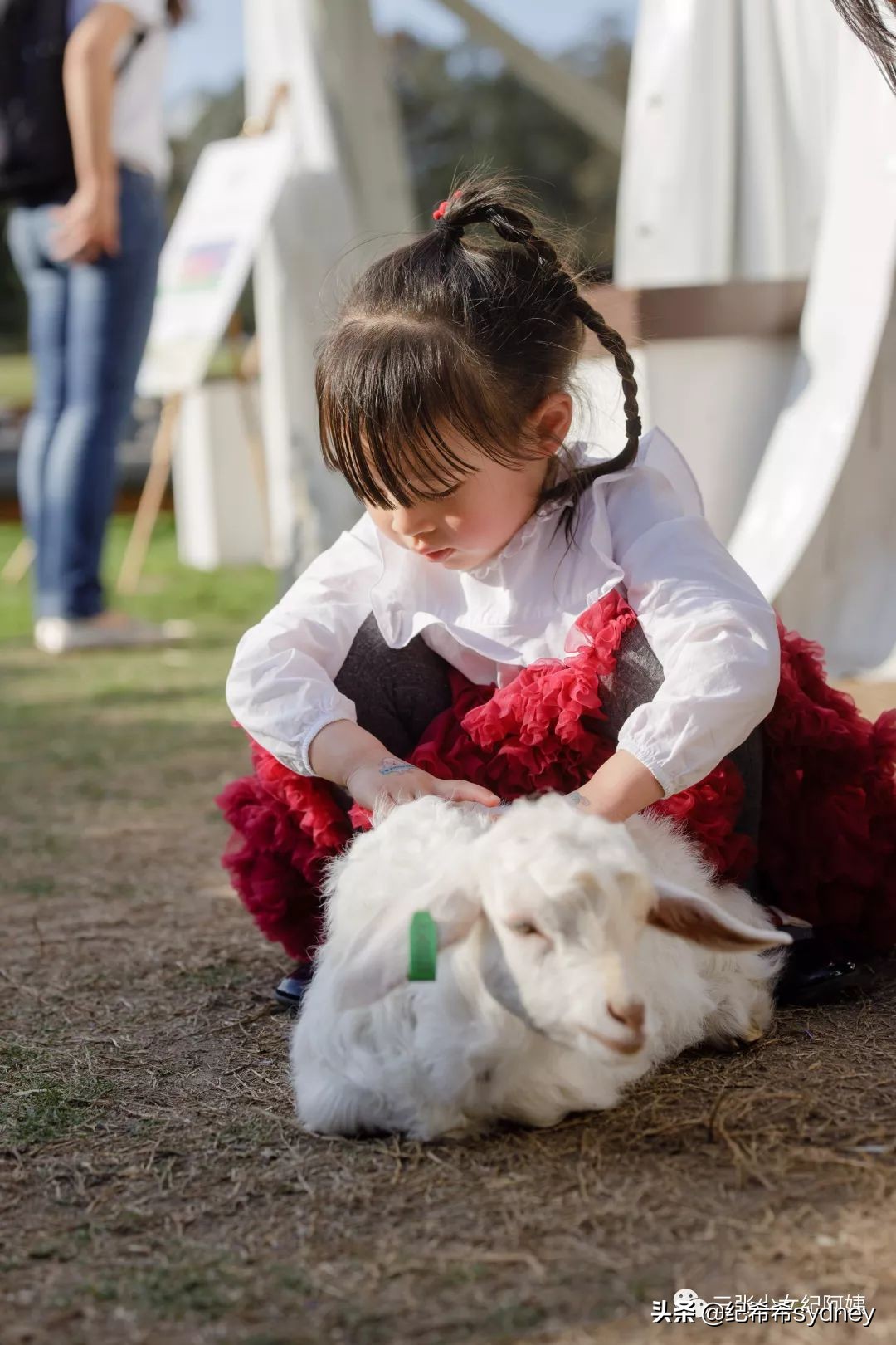 澳洲原装进口奶粉可瑞康,澳洲可瑞康奶粉新包装