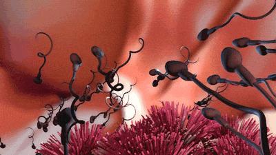 精子质量好坏标准,精子质量好坏看哪个值