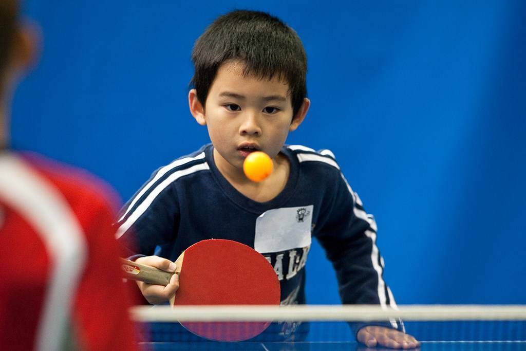 铁球和橡胶球的区别,铁球橡胶球