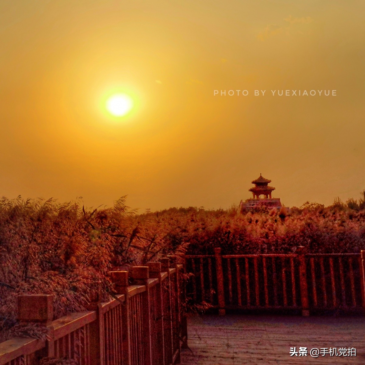 手机拍照逆光解决方法,手机拍照逆光怎么避免过曝