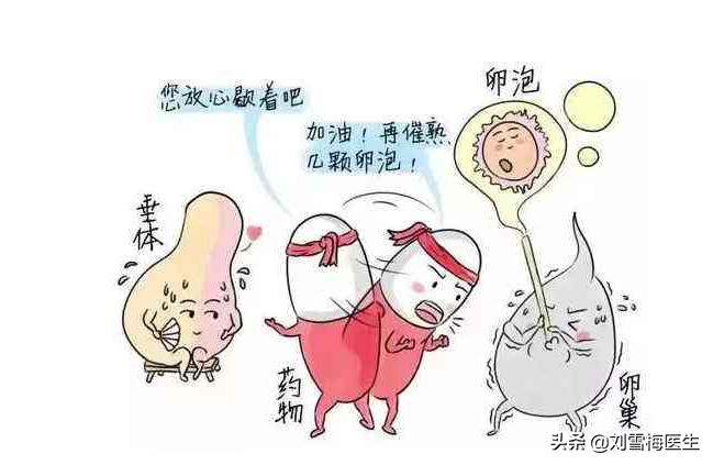 20个排卵试纸够了吗,排卵试纸怎么使用和怎么看