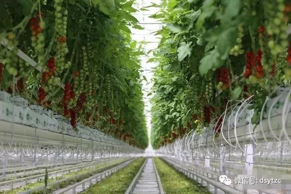 全国蔬菜重点县名单,菜吧生态园规划