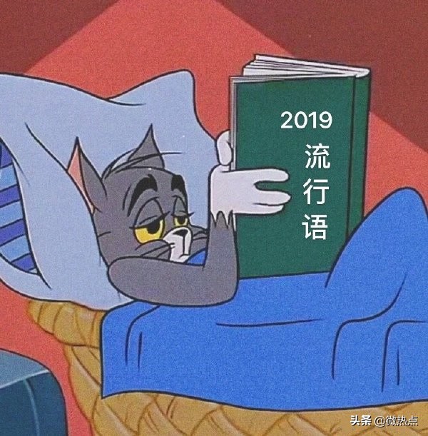 2019潮流圈十大流行语,2018幽默的网络流行语