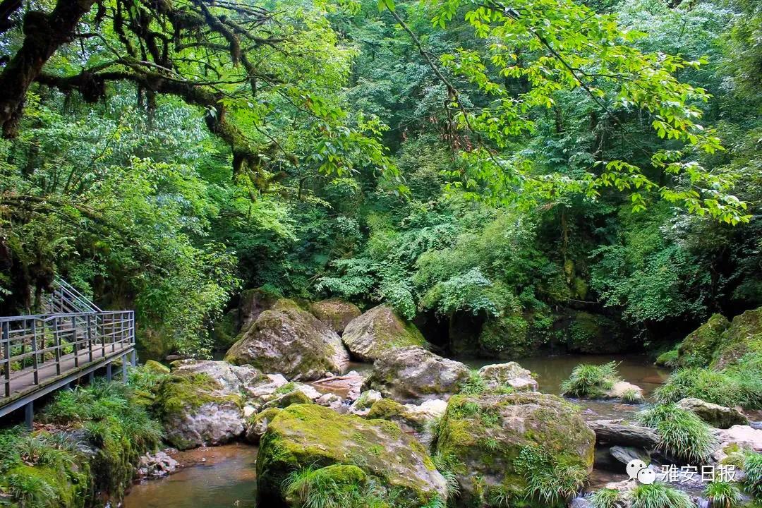 来雅安旅游,雅安二郎山休闲特色民宿