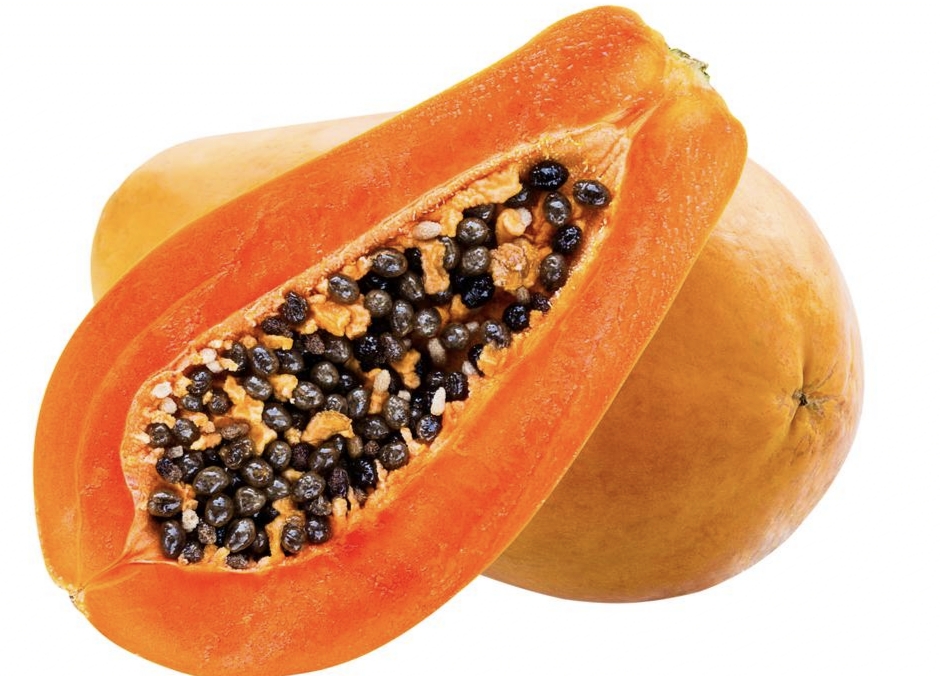 木瓜栽培技术和管理方法农技学堂,木瓜种子从发芽到采收要多久