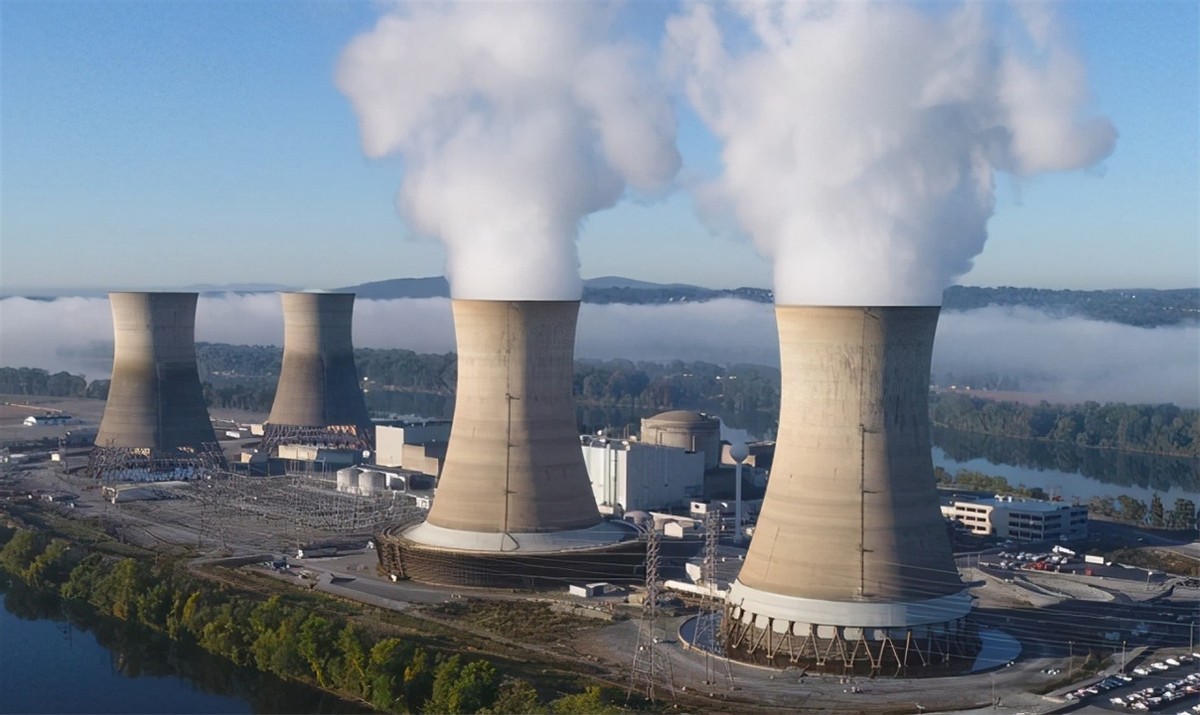 7次逼停核电站,每年花5亿美元治理,小小的贻贝如何坑惨美国?