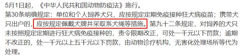 乐嘉真实的性格,乐嘉人生低谷完整视频