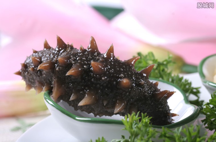 什么样的海参是比较好的海鲜,什么样的海参是好海参