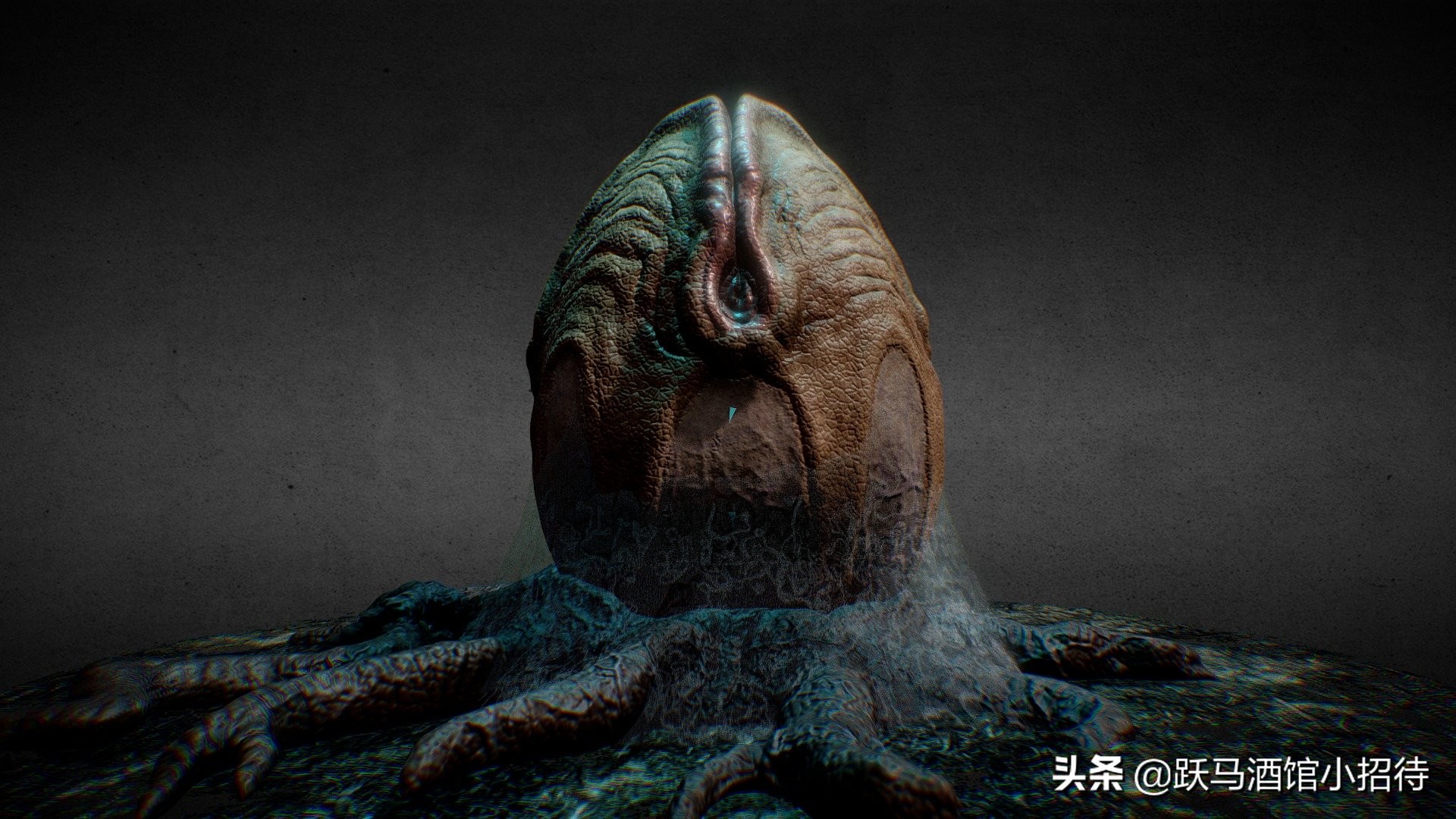 异形抱脸虫交替过程,异形抱脸虫种类